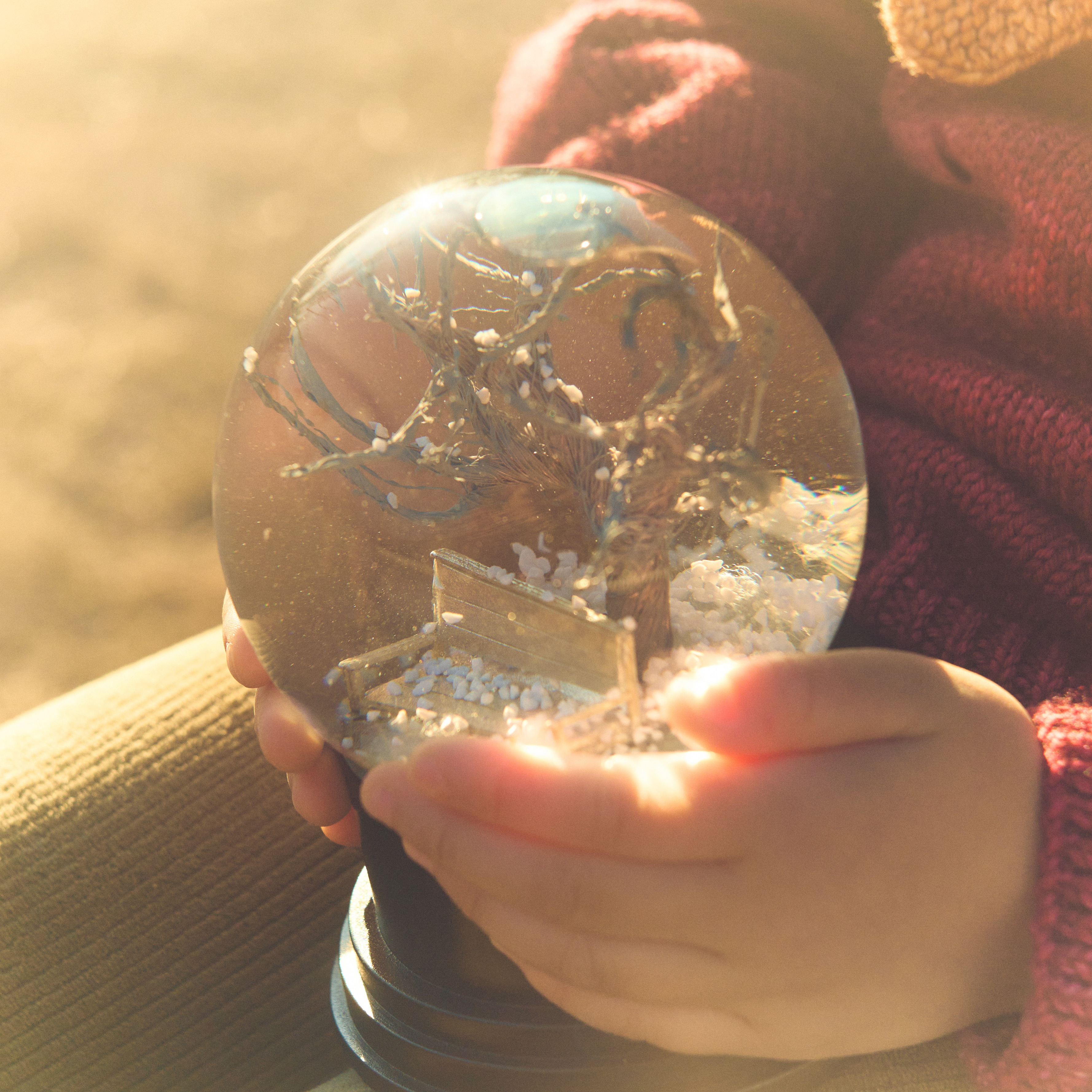 DISCOGRAPHY | あたらよ OFFICIAL SITE